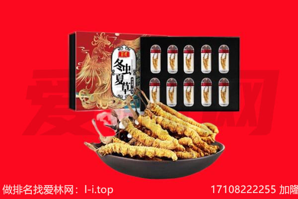 大英县回收虫草.jpg
